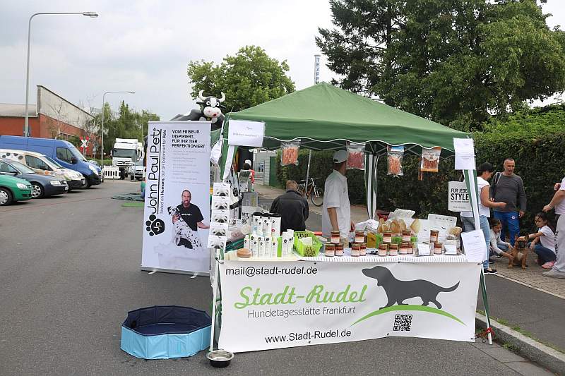 Startseite Bilder Tierschutzverein Frankfurt Main Und Umgebung Von 1841 E V