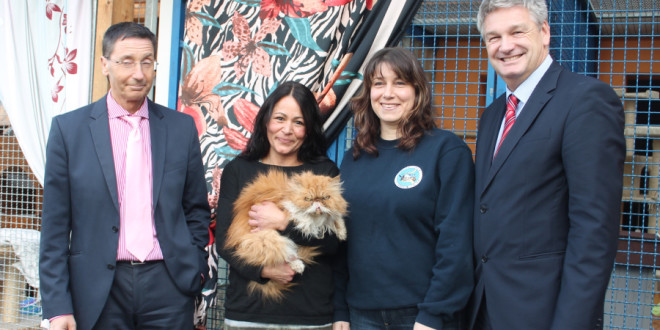 Uber Uns Tierschutzverein Viernheim Und Umgebung E V